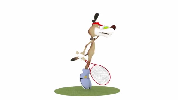 The 3D dog plays tennis. — Stock Video