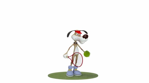 The 3D dog plays tennis. — Stock Video