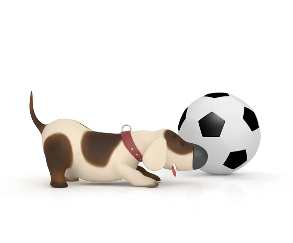 Pies z piłką. — Zdjęcie stockowe