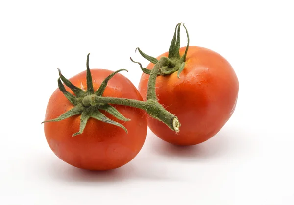 Branch with two tomatoes — Stock Photo, Image