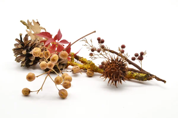 Zusammensetzung von Herbstblättern und Früchten — Stockfoto
