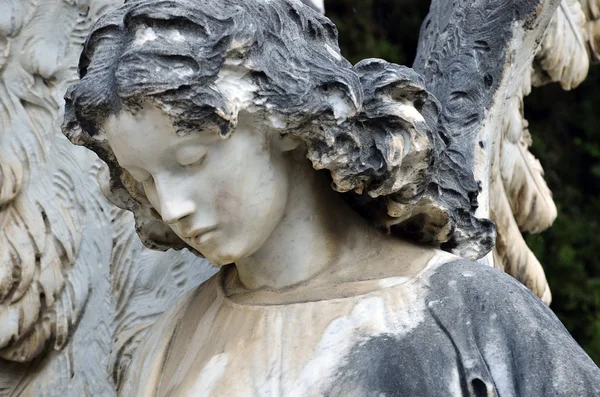 Estatua de un ángel en el cementerio —  Fotos de Stock