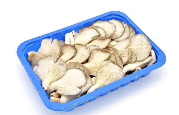 Taca z grzybów jadalnych, posiekane — Zdjęcie stockowe