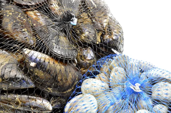 Мидии и моллюски в двух сетчатых пакетах — стоковое фото