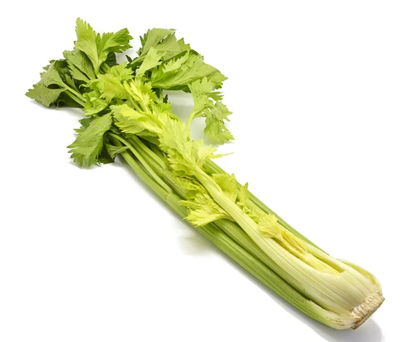 Stalk of celery — Stock Photo, Image