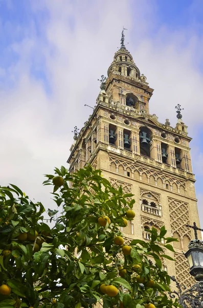 La Giralda de Sevilla y naranja — Foto de Stock