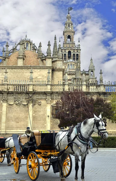 Paard rijtuigen en de kathedraal van Sevilla — Stockfoto