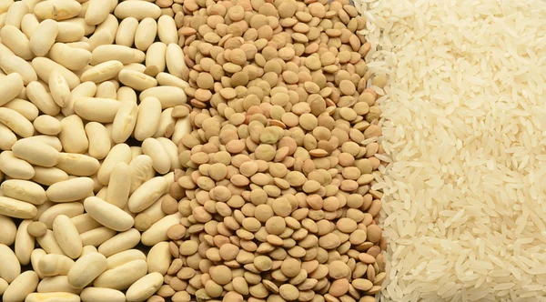 Various legumes: lentils, rice and beans