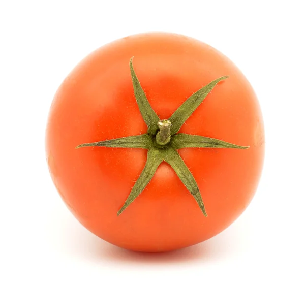 Tomate — Foto de Stock