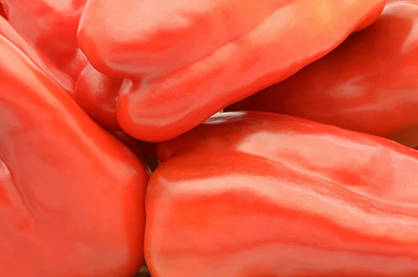 Papryka czerwona — Zdjęcie stockowe