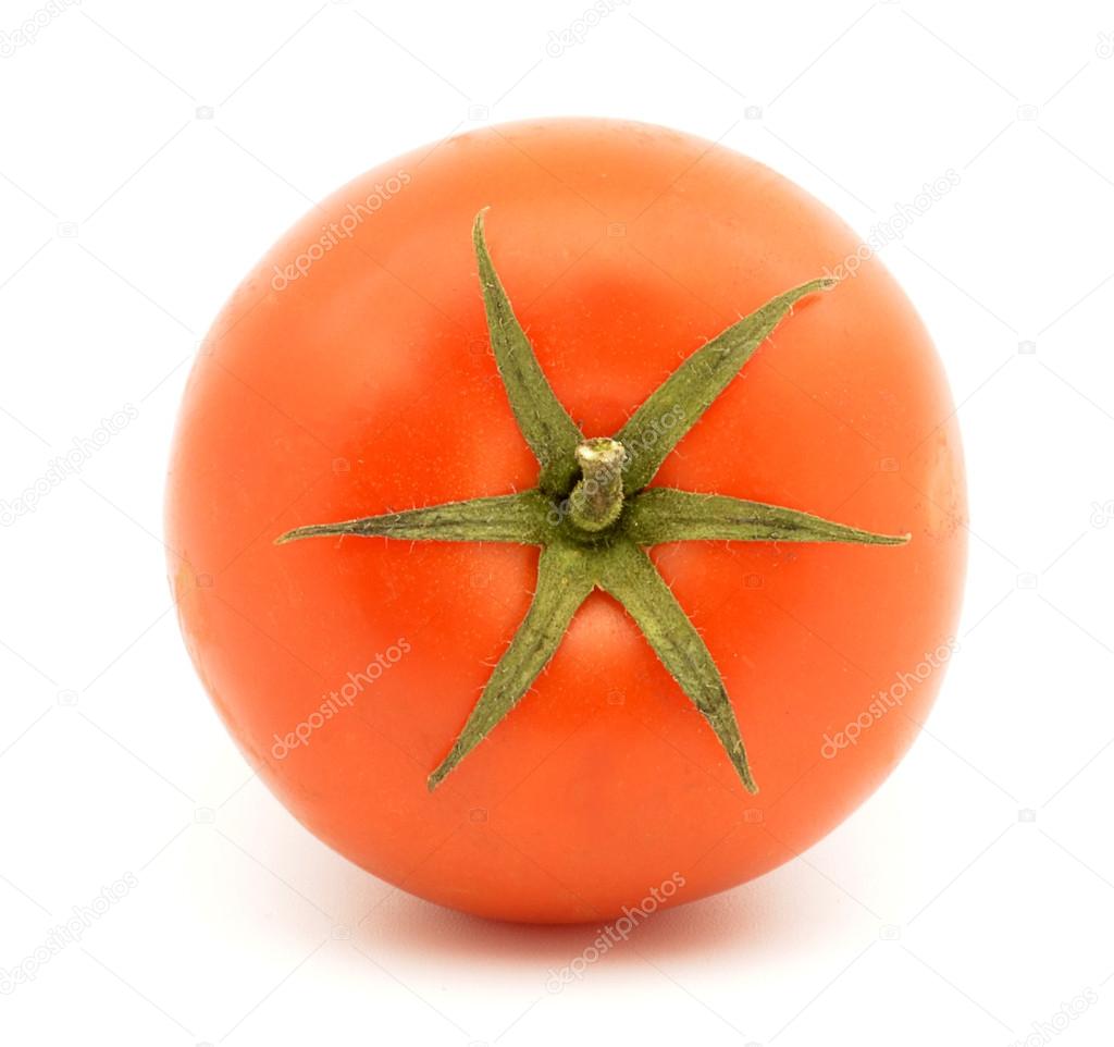 Tomato