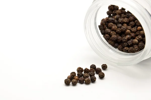 Black pepper — Stock Photo, Image