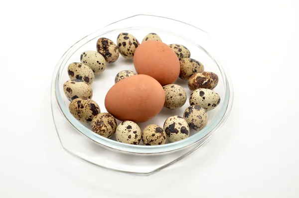 Différents œufs dans un bol en verre — Photo