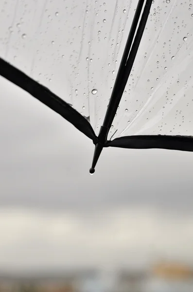 Wassertropfen auf transparentem Regenschirm — Stockfoto