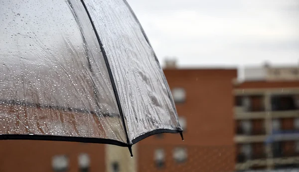 Wassertropfen auf transparentem Regenschirm — Stockfoto