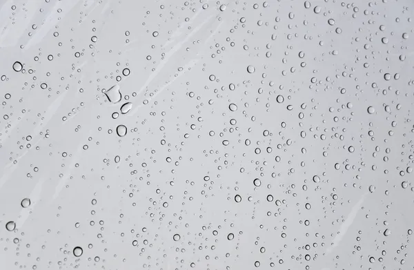 Gotas de água no guarda-chuva transparente — Fotografia de Stock
