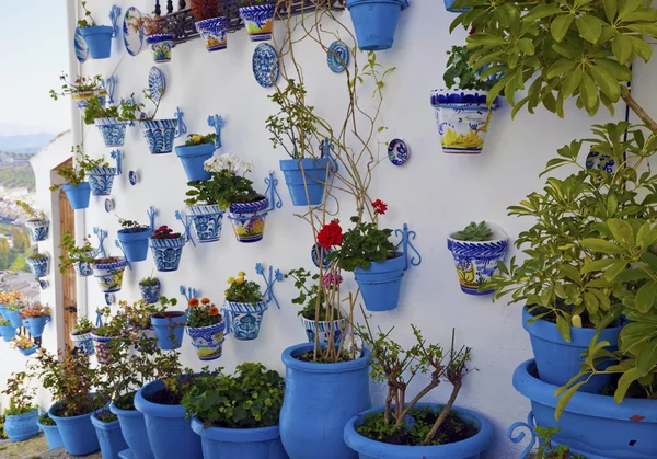 Flowerpots in an Andalusian town — Stock Photo, Image