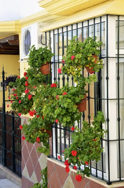 Window with a modern fence and flowers in Andalusia — Stock Photo, Image