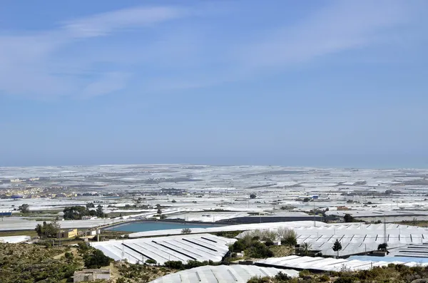 "da bilinen çok sayıda seralar için denizde plastik" almeria, — Stok fotoğraf