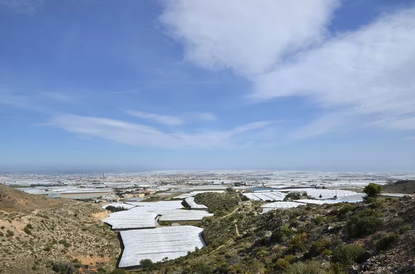El "mar de plástico" de Almería, también conocido por el gran número de invernaderos — Foto de Stock