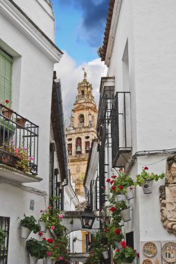 calleja de las flores, cordoba en popüler caddelerinden biri,