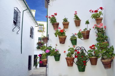 çiçek duvar, cordoba, Endülüs Demlikli sokak sahnesi