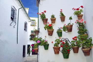 Street scene with pots of flower in the wall, Cordoba, Andalusia clipart