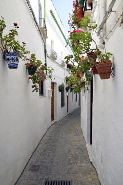 çiçek duvar, cordoba, Endülüs Demlikli sokak sahnesi