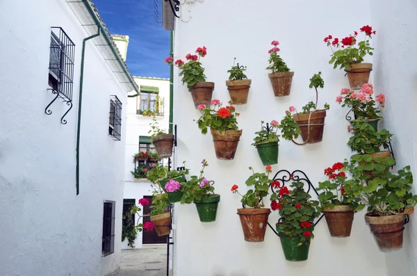 Escena callejera con macetas de flores en la pared, Córdoba, Andalucía — Foto de Stock