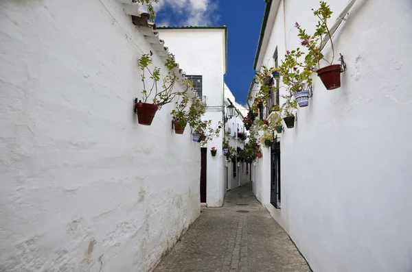 Street scene with pots of flower in the wall, Cordoba, Andalusia — Stock Photo, Image