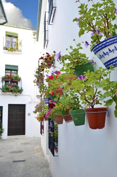 Street scene with pots of flower in the wall, Cordoba, Andalusia — Stock Photo, Image