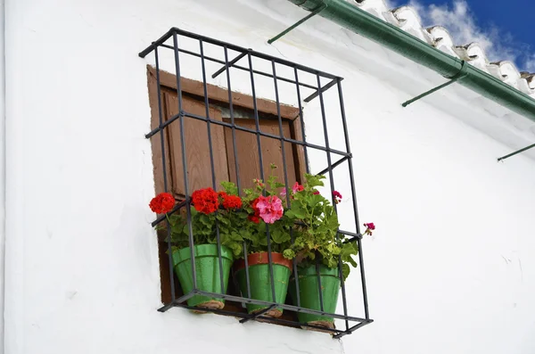 Finestra con vasi di fiori, Cordova, Andalusia — Foto Stock