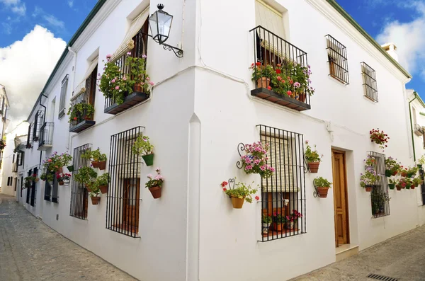 Pouliční scéna s pánví květina ve zdi, cordoba, Andalusie — Stock fotografie