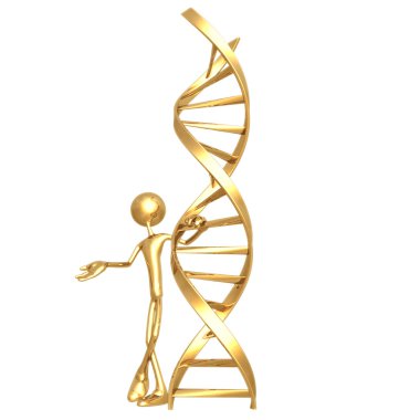 DNA sunulması