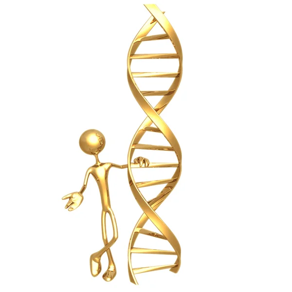 Presenting DNA — Stock Photo, Image