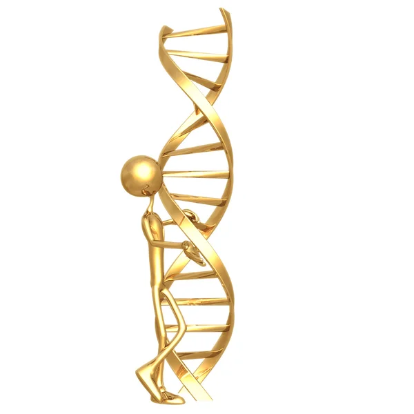 DNA tırmanmak — Stok fotoğraf