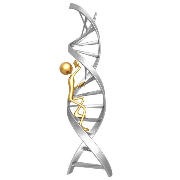 DNA tırmanmak — Stok fotoğraf