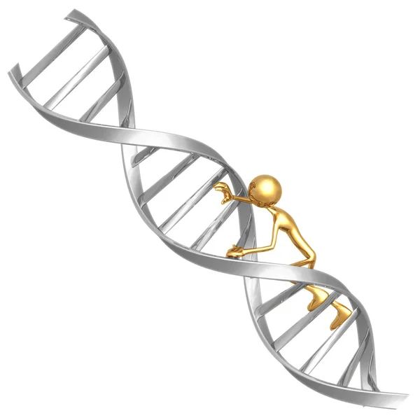 爬上 dna — 图库照片