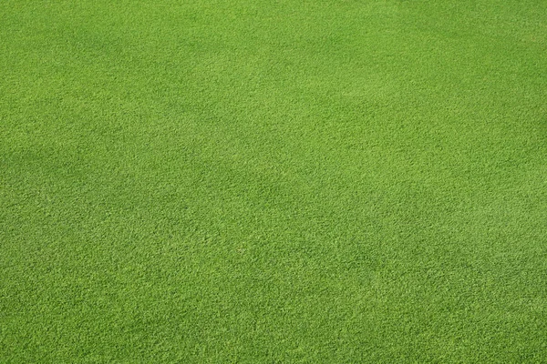 완벽 한 녹색 잔디 — 스톡 사진