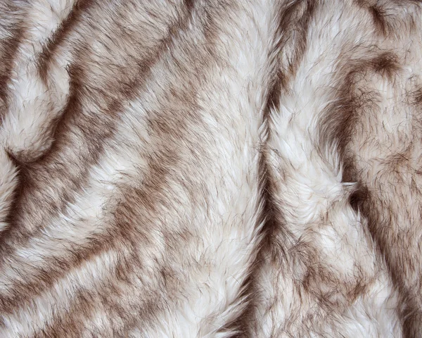 Fur texture. — Stock Photo, Image