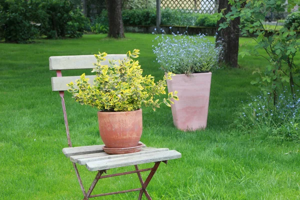 Garden scene — Stock Photo, Image