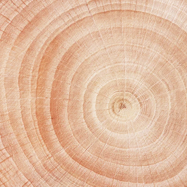 Текстура деревянной резки . — стоковое фото