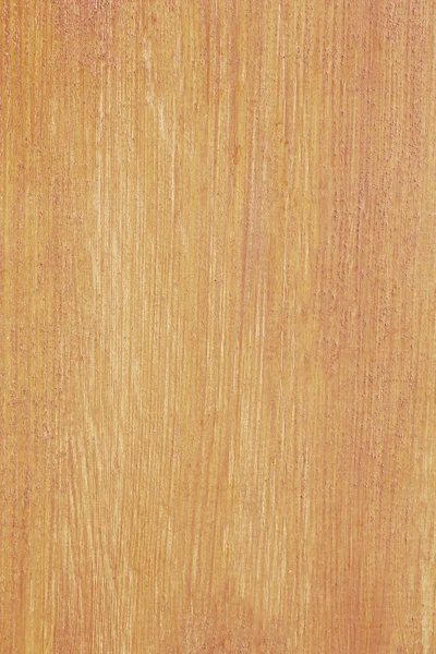 木制背景 免版税图库图片