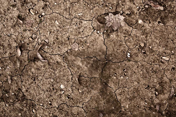 Surface of a grungy dry cracking parched earth for textural background. Stock Image