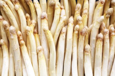 taze beyaz kuşkonmaz.