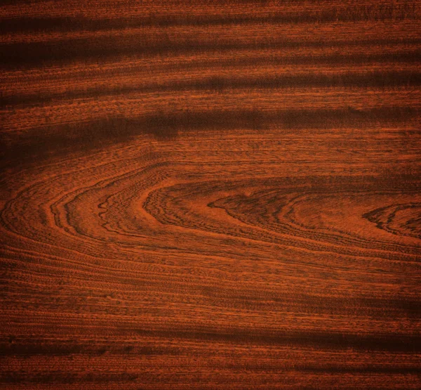 Abstract wood texture with focus on the wood's grain. — Stock Photo, Image