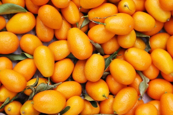 Naranjas de mandarina . —  Fotos de Stock