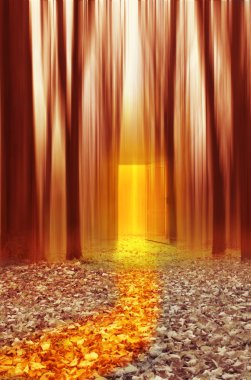 sihirli bir şekilde