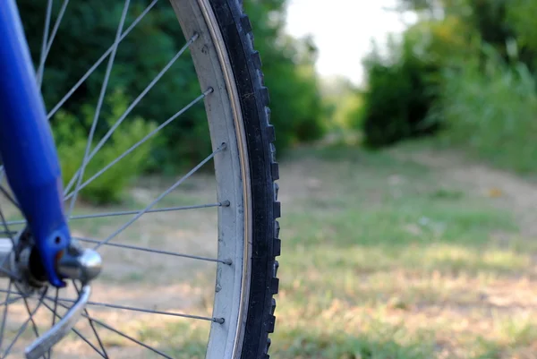 Mountain bike wheel on a dirt road — Stock Photo, Image