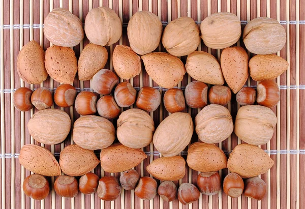 Noix, amandes et noisettes d'affilée — Photo